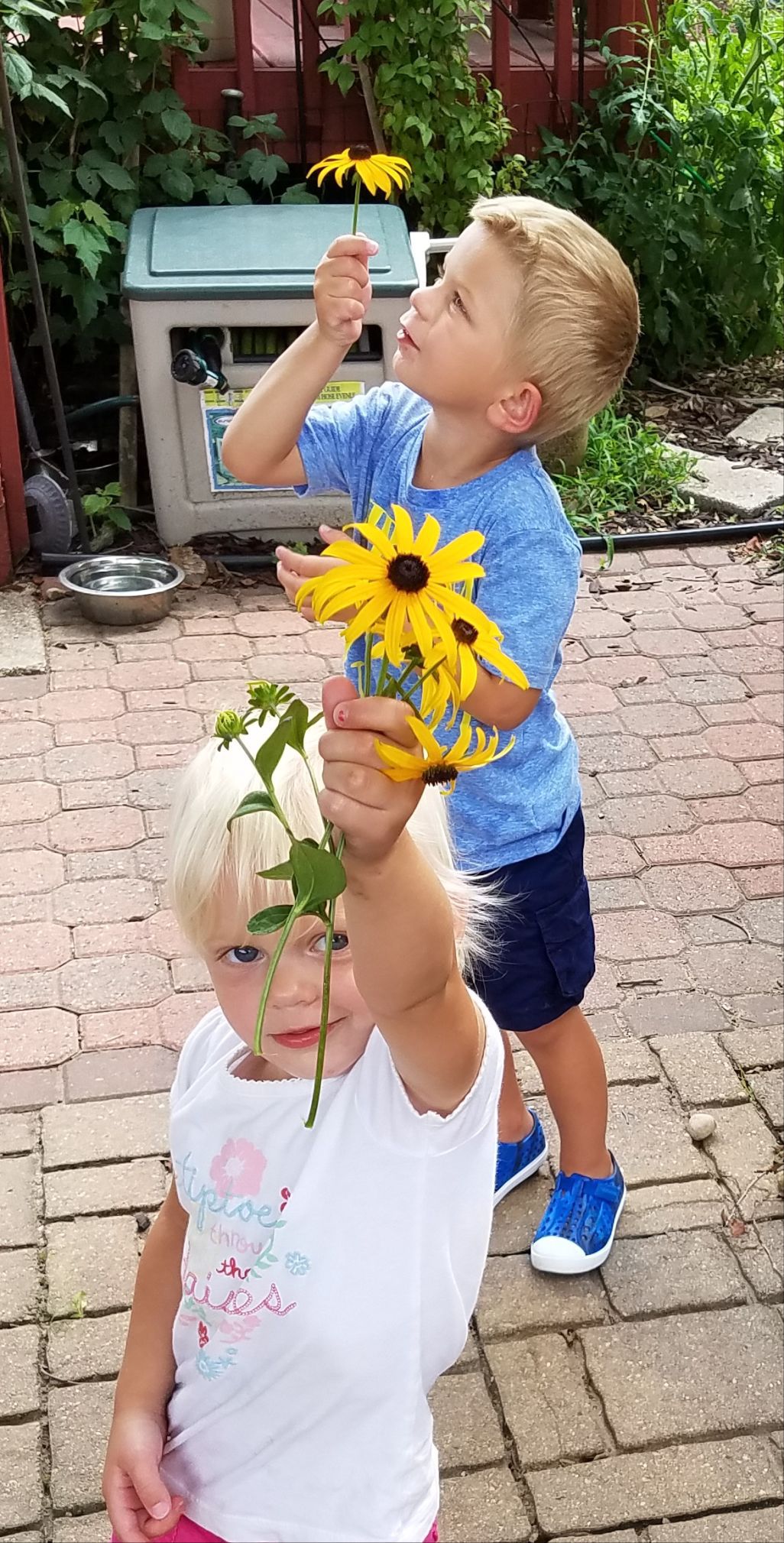 Summer